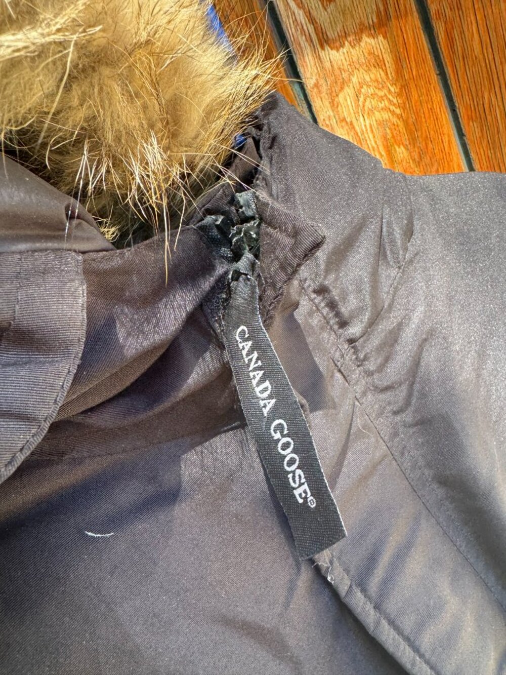 Canada Goose - Picture 3 of 4